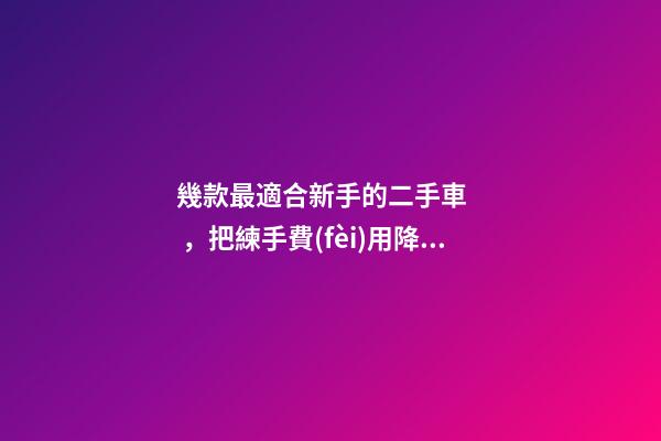 幾款最適合新手的二手車，把練手費(fèi)用降到最低